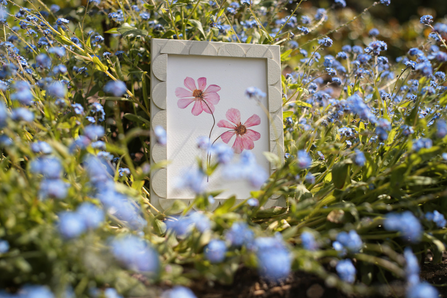 Light Pistachio Stained Scallop Frame