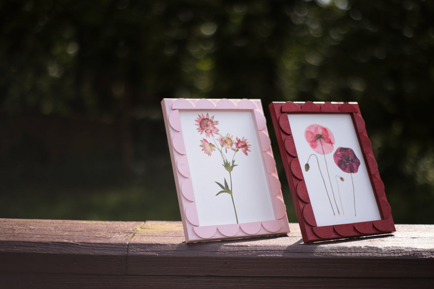 Peony Stained Scallop Frame