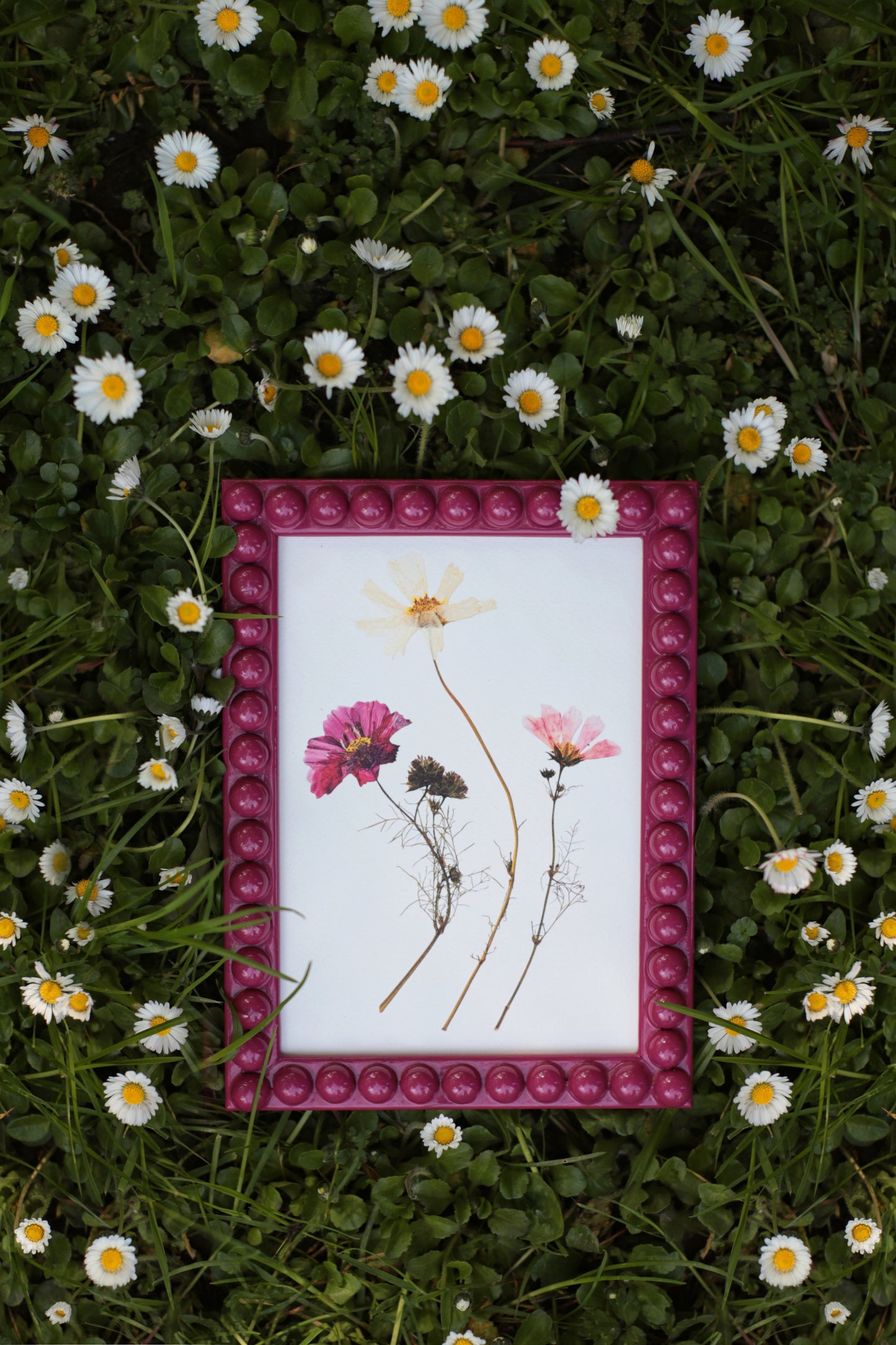 Orchid Bobbin Frame (RTS)
