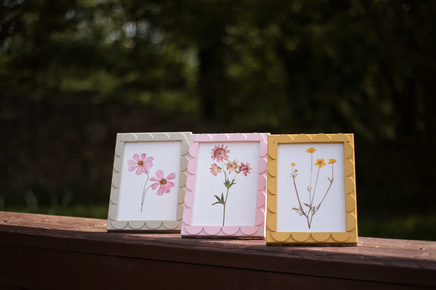 Light Pistachio Stained Scallop Frame