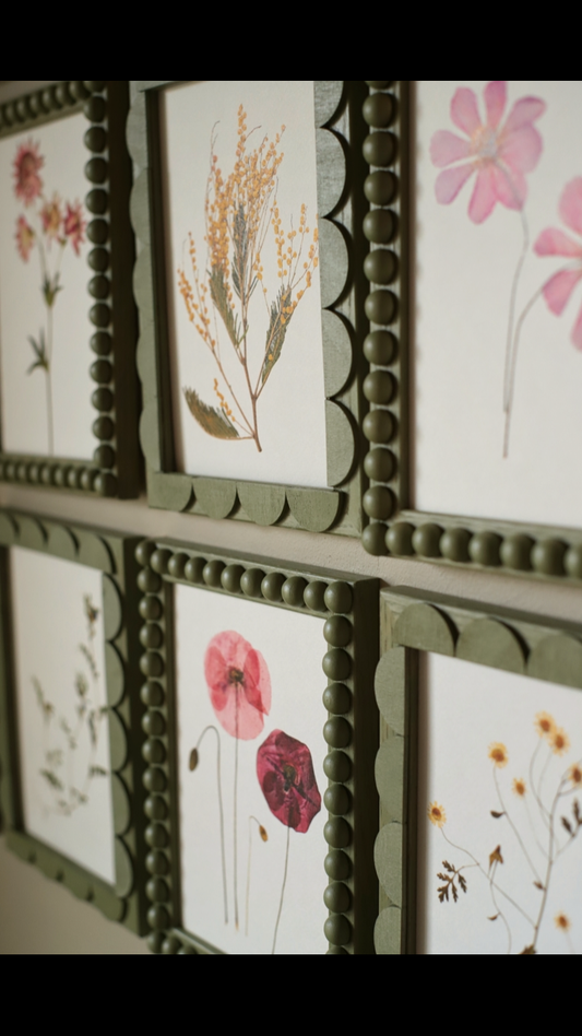 Bertola 🤍 Wilder & Wren