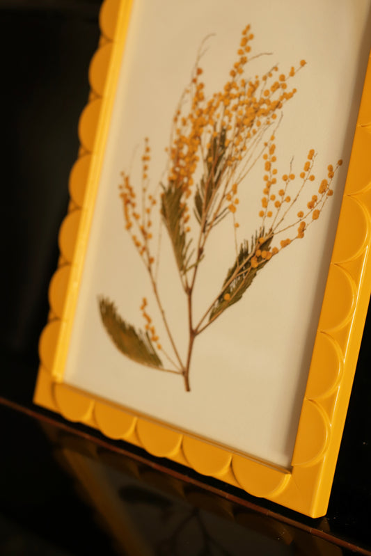 Mimosa Lacquered Scallop Frame