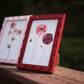 Cranberry Stained Scallop Frame